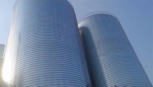 依兰2座混凝土高架卷板仓